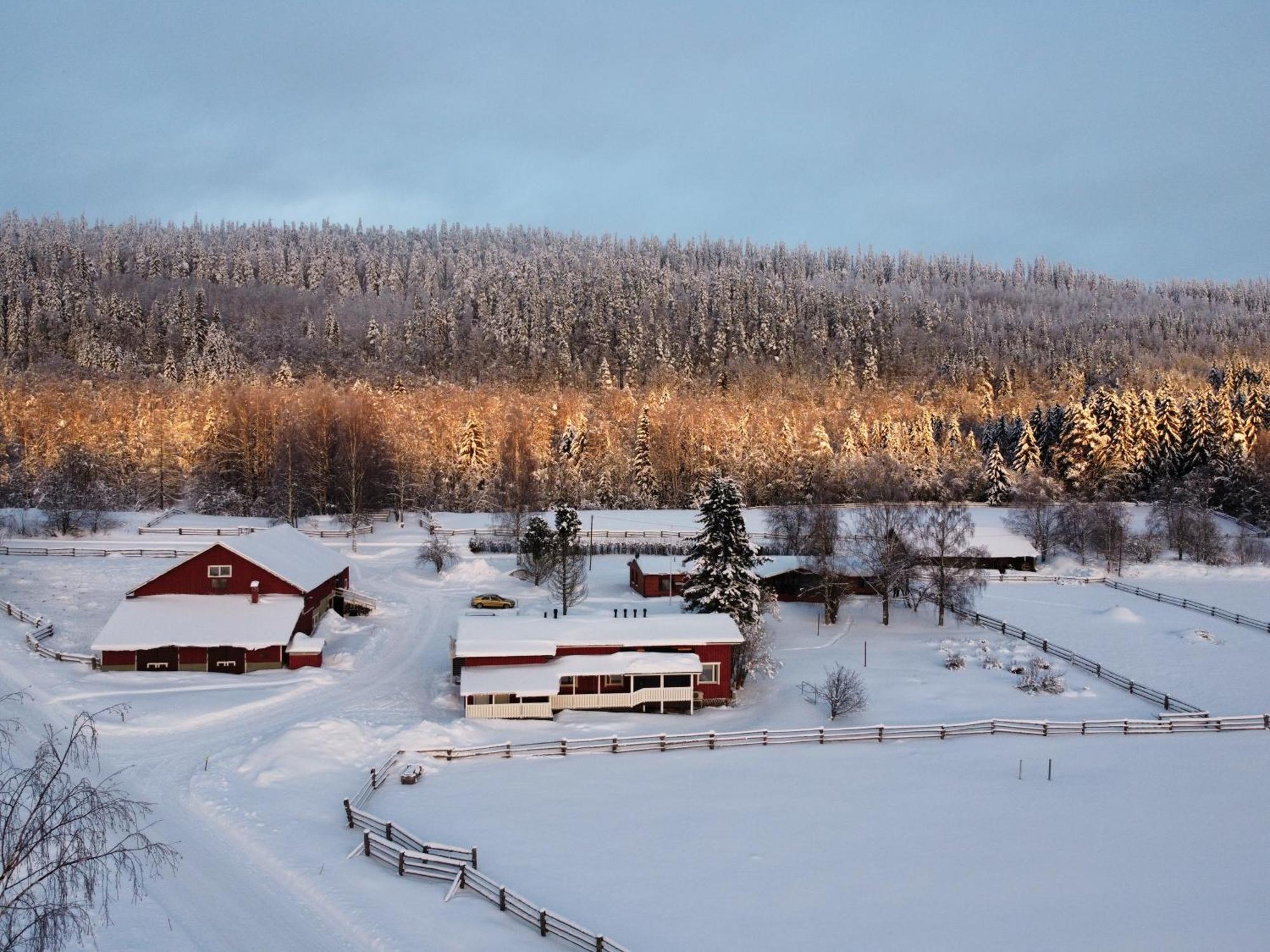 Paimentupa Villa Kolinkylä Exterior foto