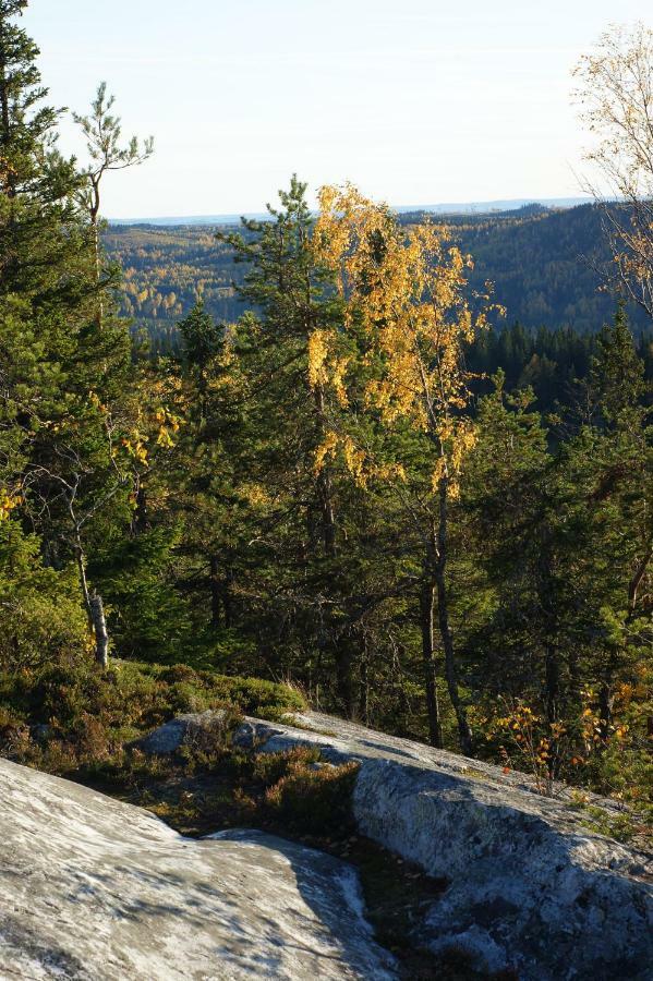 Paimentupa Villa Kolinkylä Exterior foto