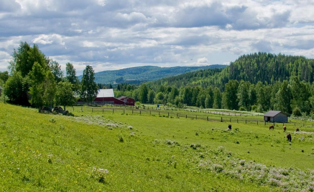 Paimentupa Villa Kolinkylä Cameră foto